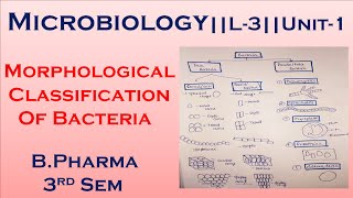 Morphological Classification Of Bacteria  Microbiology L3Unit1 Bpharma 3rd sem  in Hindi [upl. by Bonne]