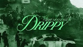 Sidhu Moosewala ‘Drippy’ slowedreverb clean [upl. by Acissey]