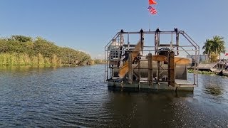 Fort Lauderdale  Everglades Airboat Ride Crown Princess Excursion [upl. by Alusru]