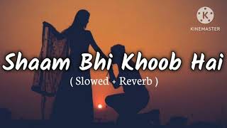 lofi songs  dhalne lagi hai raat song  aisha songs  pehle kyun na mile huma llofi song  lofi [upl. by Attemaj]