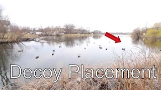 How to Place Your Duck Decoys Part 1 The Basics [upl. by Torrance475]