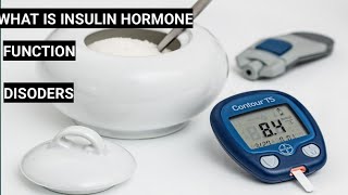 What is insulin hormone [upl. by Aienahs]