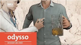 Wie sich der Körper vom Alkohol erholt  SWR Wissen [upl. by Acie405]