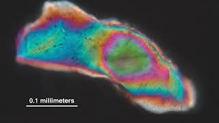 NASA team of researchers discover massive meteor crater in Greenland [upl. by Eirrol]