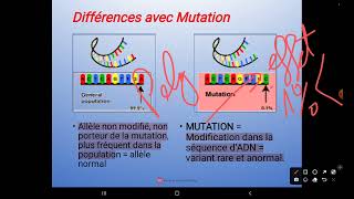 Génétique بالعربية  Les Variations Génétique de L’ADN  Partie 1 Le Polymorphisme [upl. by Sheldon]