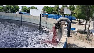 angaripalyam common effluent treatment plant [upl. by Annekim]