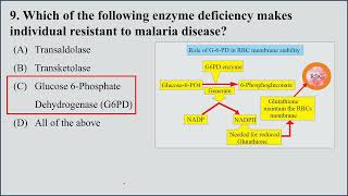 MCQs on Hexose Monophosphate Shunt HMP shunt  Pentose Phosphate Pathway I 15 MCQs for Practice [upl. by Jermaine]