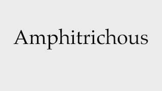 How to Pronounce Amphitrichous [upl. by Niltag215]