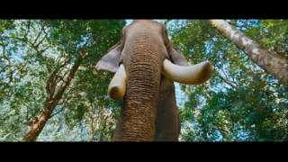 Gajakesari Kannada Movie Scene  Elephant Chase Comedy Scene  Sadhu Kokila Rangayana Raghu [upl. by Beauregard]