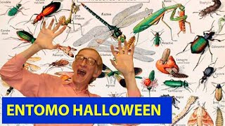 Entomology amp Beekeeping Halloween 2024 in Kyiv Ukraine Methods Lepidoptera Hymenoptera entomology [upl. by Inalaek]