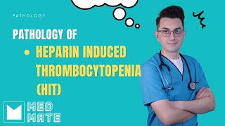 Heparininduced thrombocytopenia HIT  Pathology [upl. by Durward]