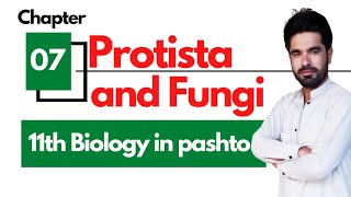 Protista and fungi  Class 11 Biology chapter 7 in pashto [upl. by Arahd172]