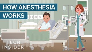 How Anesthesia Affects Your Brain And Body [upl. by Mellins]