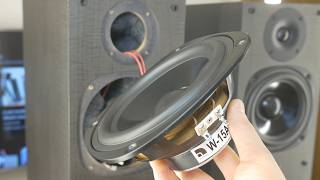 Look inside Audio Pro Evo 50 Home Speakers [upl. by Edals189]