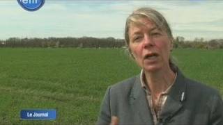 Les enjeux de lagriculture périurbaine Argenteuil [upl. by Frazier]