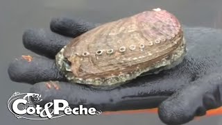 La pêche aux Ormeaux [upl. by Nets]