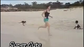 Baby kangaroo swimming on the beach running and Kangaroo swimming then a kangaroo swimming [upl. by Nevarc]