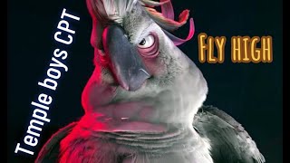 Fly High Temple Boys CPT Feat Dj Eli [upl. by Hgielak]