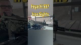 Feyachi Iron Sights pewpew ar15pistol [upl. by Wexler]