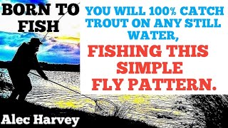 FLY TYING  A MUST FLY PATTERN FOR ALL STILL WATERS [upl. by Sucirdor309]