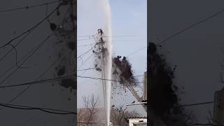 Birds Nest Destroyed By Fire Fighters TrendingShorts TrendingVideos ViralVideos [upl. by Ultann109]