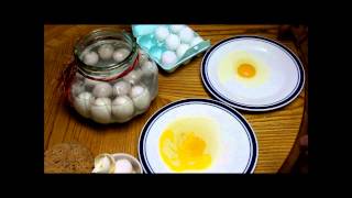 Preserving Eggs in Sodium Silicate Water Glass 10 Months Later [upl. by Akkim]