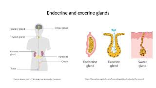 Hormones and classification [upl. by Abbub53]