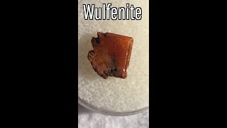 The Rare State Mineral of Arizona Wulfenite [upl. by Goldina]