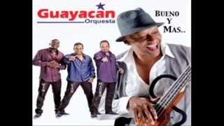 Orquesta Guayacan  Tenaz Luchador [upl. by Gayla]