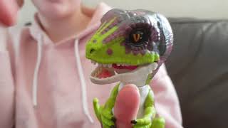 Untamed Raptor from Fingerling First Look [upl. by Bale]