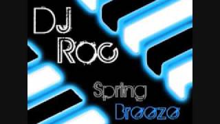 DJ Roc  Spring Breeze [upl. by Ainesy666]