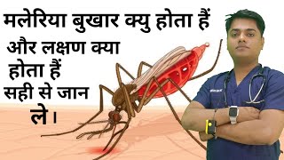 मलेरिया बुखार क्या होता है  मलेरिया के लक्षण क्या है  cause of malaria fever symptom of malaria [upl. by Maddis738]