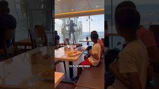 HOW DO YOU CLEAN CRUISE SHIP WINDOWS travel cruise mscmeraviglia how ship msccruises [upl. by Scopp131]