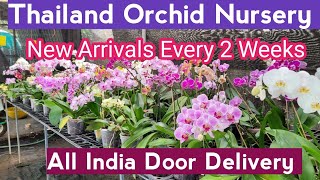 GeorgeTheIndianFarmer Eden Gardens Orchid Nursery Ollur Thrissur Kerala ഓർക്കിഡ് നഴ്സറി [upl. by Inga665]