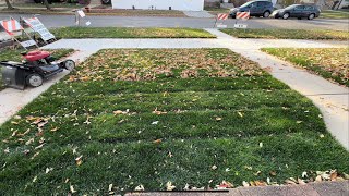 Mulching Fall Leaves Honda HRX [upl. by Avah]