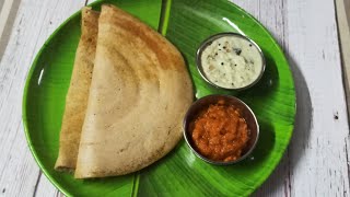 Foxtail Millet Dosa ll Thinai Dosa ll Healthy breakfast recipe ll Diabetic foods ll Ep137 [upl. by Ocramed]