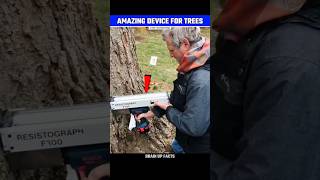 How This Device Check Health Of The Trees😱 [upl. by Ahsinek]