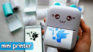 Mini Thermal Printer from Aliexpress  ASMR  no talking review [upl. by Llednahs]