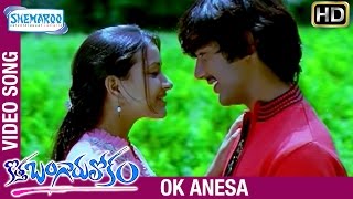 Kotha Bangaru Lokam Songs  Ok Anesa Video Song  Varun Sandesh  Shweta Basu Prasad [upl. by Gnad332]