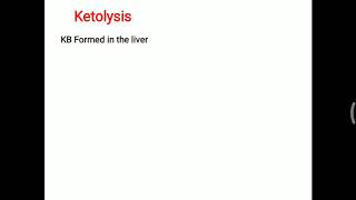 Ketolysis [upl. by Nealon52]