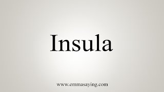 How To Say Insula [upl. by Nasas369]