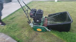 Reel Mowing Romo California Trimmer scalping lawn to get ready for Rye grass seed 92818 [upl. by Marceau936]