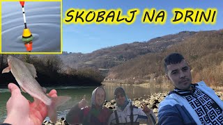 Fishing on the DRINA 2023  Pecanje na DRINI  5 dana sa ekipom Pecanje u pokusaju  😱🎣🐟🤪 [upl. by Domenech]