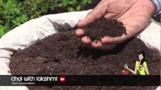 How to Grow Organic Vegetables on Your Roof Top [upl. by Bum116]