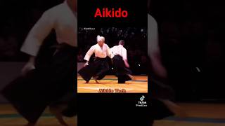 Aikido martial arts extreme stunts strongman amazing skills training extraordinary omg Kung Fu [upl. by Fotina613]