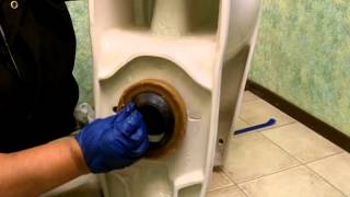 Beginner Tutorial Remove and Install a New Toilet [upl. by Tomlin]