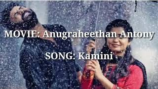 Kamini Song Lyrics  Mulle Mulle  Anugraheethan Antony [upl. by Loseff]