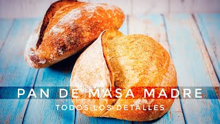 CÓMO HACER PAN DE MASA MADRE AMASADO [upl. by Neved]