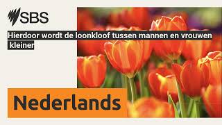 Hierdoor wordt de loonkloof tussen mannen en vrouwen kleiner  SBS Dutch  SBS Nederlands [upl. by Barna808]