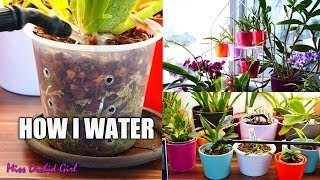 How I water my 400 Orchids  Setup and technique explained [upl. by Mundt877]